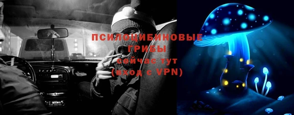 PSILOCYBIN Абдулино